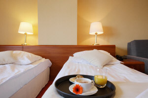 Hotel Dwór Bogucin 09