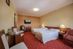 Hotel Dwór Bogucin 10